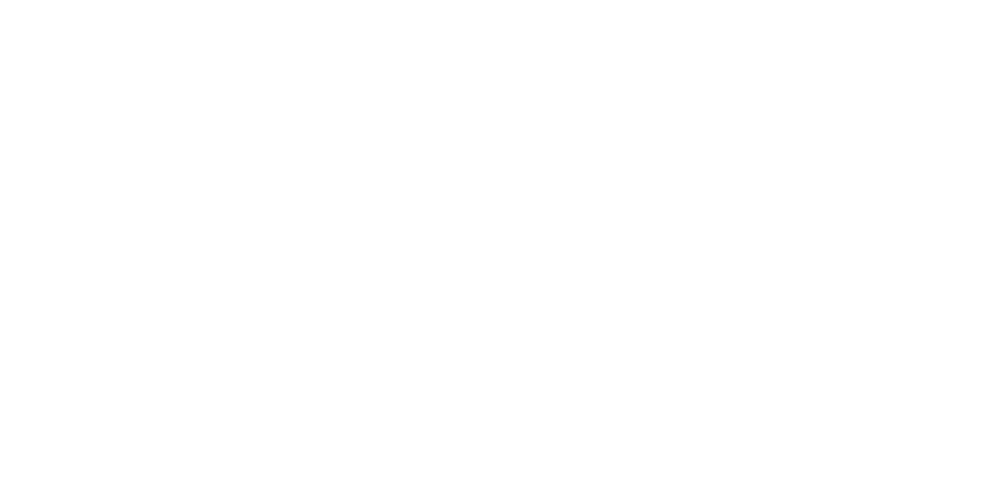 PremierReels — MSA client