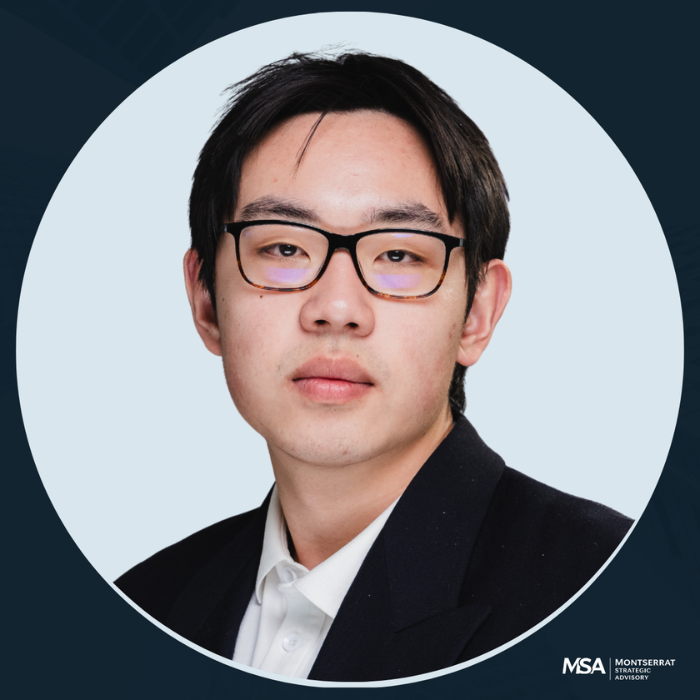 David Zhu — Head of AI Systems, Montserrat Strategic Advisory